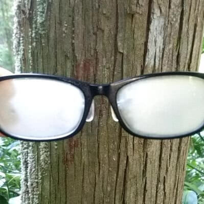 yoji